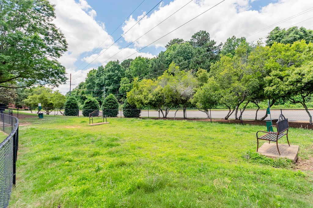 a park with a bench in the grass and trees