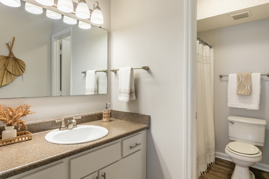 a bathroom with a sink and a mirror and a toilet