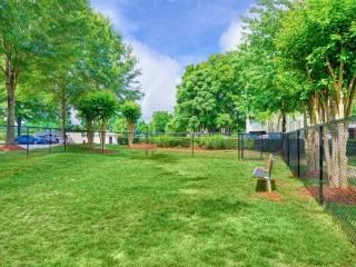 a park with trees and a fence  and a bench