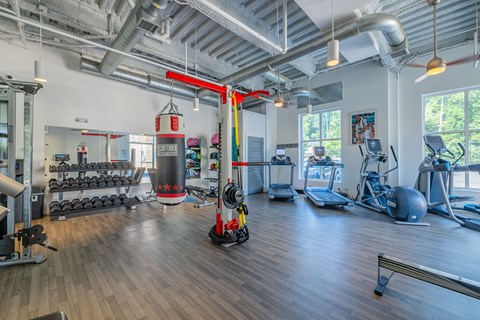 A gym with a variety of equipment including weights, a treadmill, and a rowing machine.