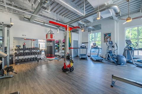 A gym with a variety of equipment including weights, a treadmill, and a rowing machine.