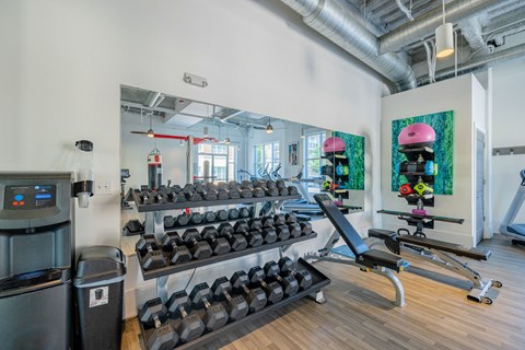 A gym with a row of dumbbells and a treadmill.
