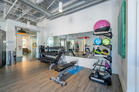 A gym with a variety of equipment including weights and a bench.