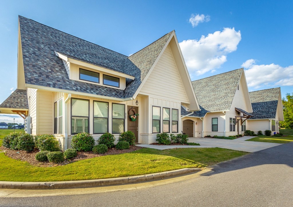 a group of houses in a row with a blue sky in the background