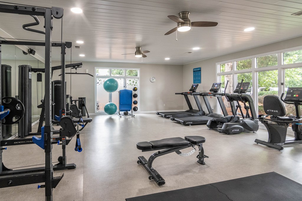 A spacious gym with a variety of equipment including treadmills, weights, and a bench.