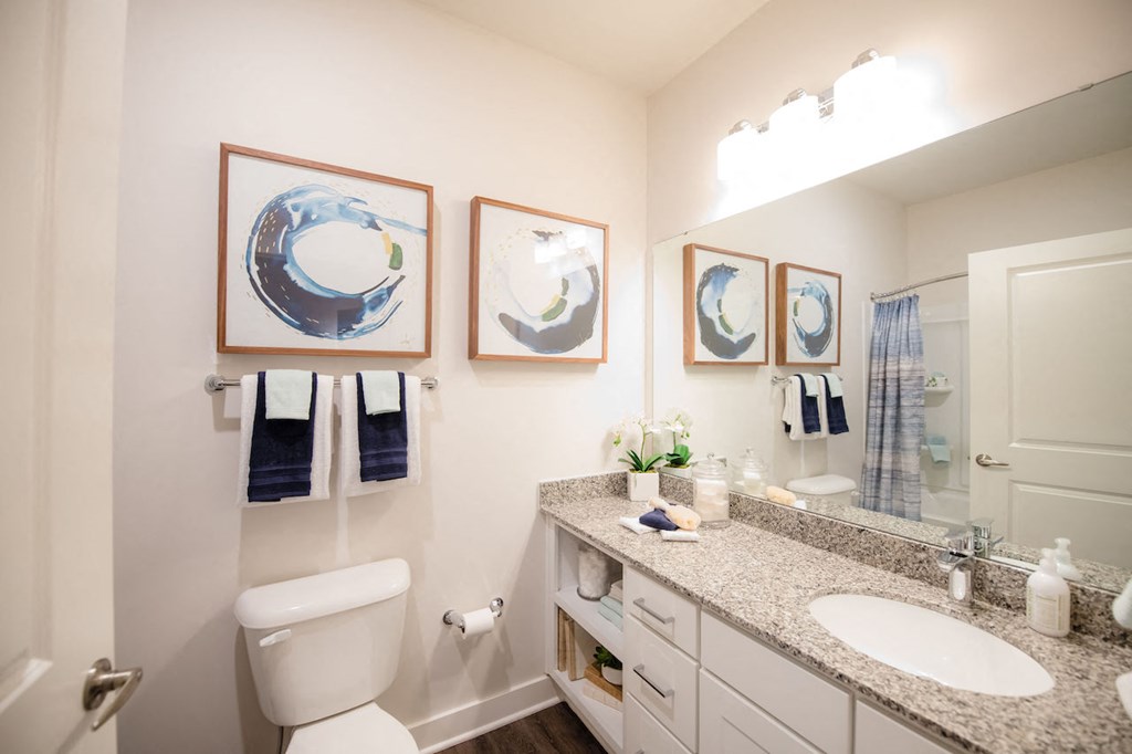 Hawthorne at the Pointe Bathroom with Granite Countertops and Ample Storage