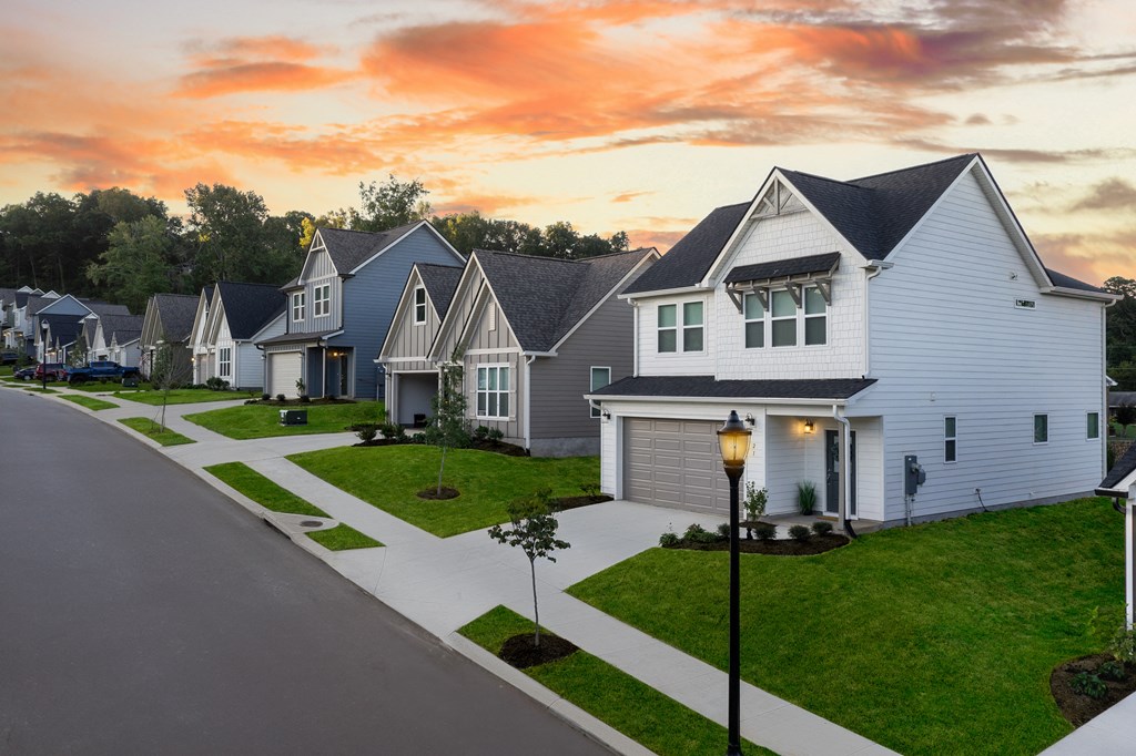a row of houses on the side of a street at sunset