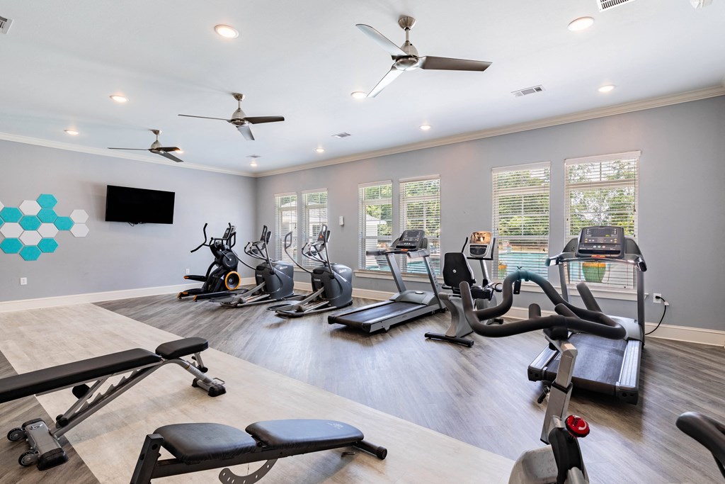 the gym has plenty of cardio equipment and windows