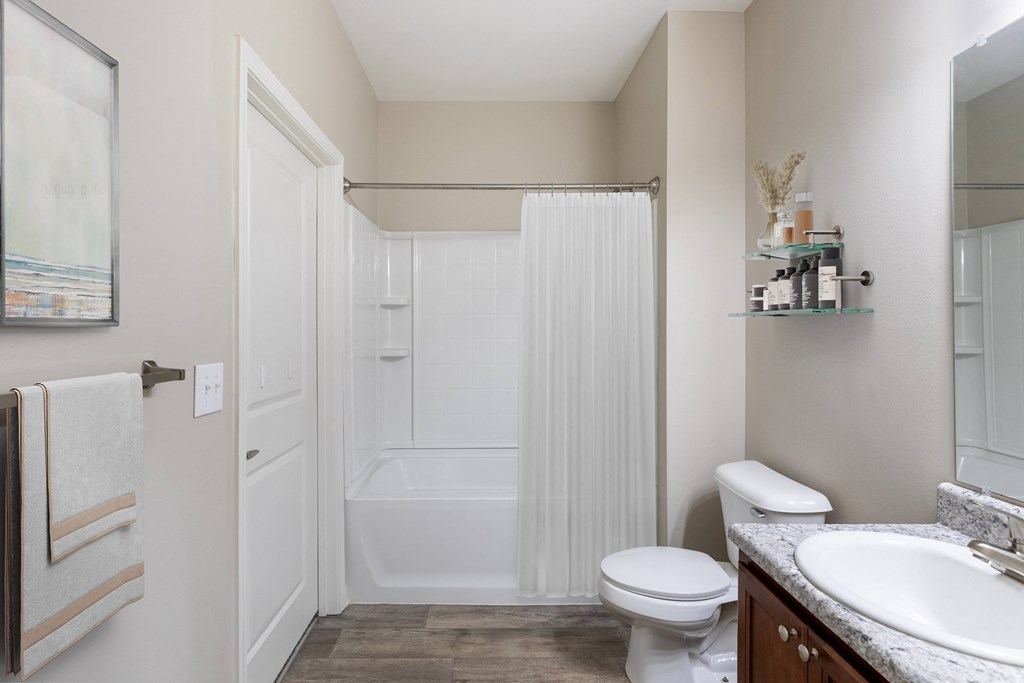 a bathroom with a shower toilet and sink and a mirror