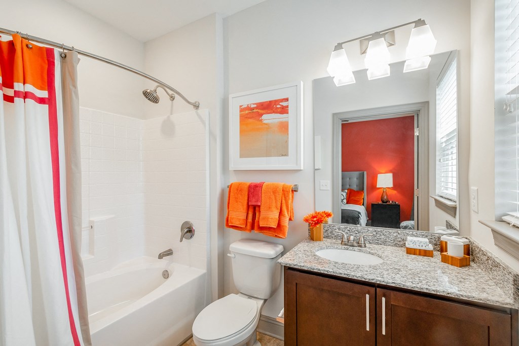 a bathroom with a shower toilet and sink and a mirror