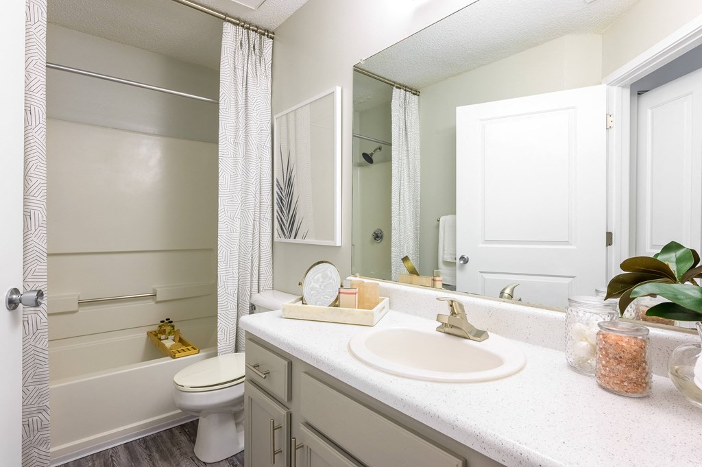 a bathroom with a sink and a toilet and a bath tub