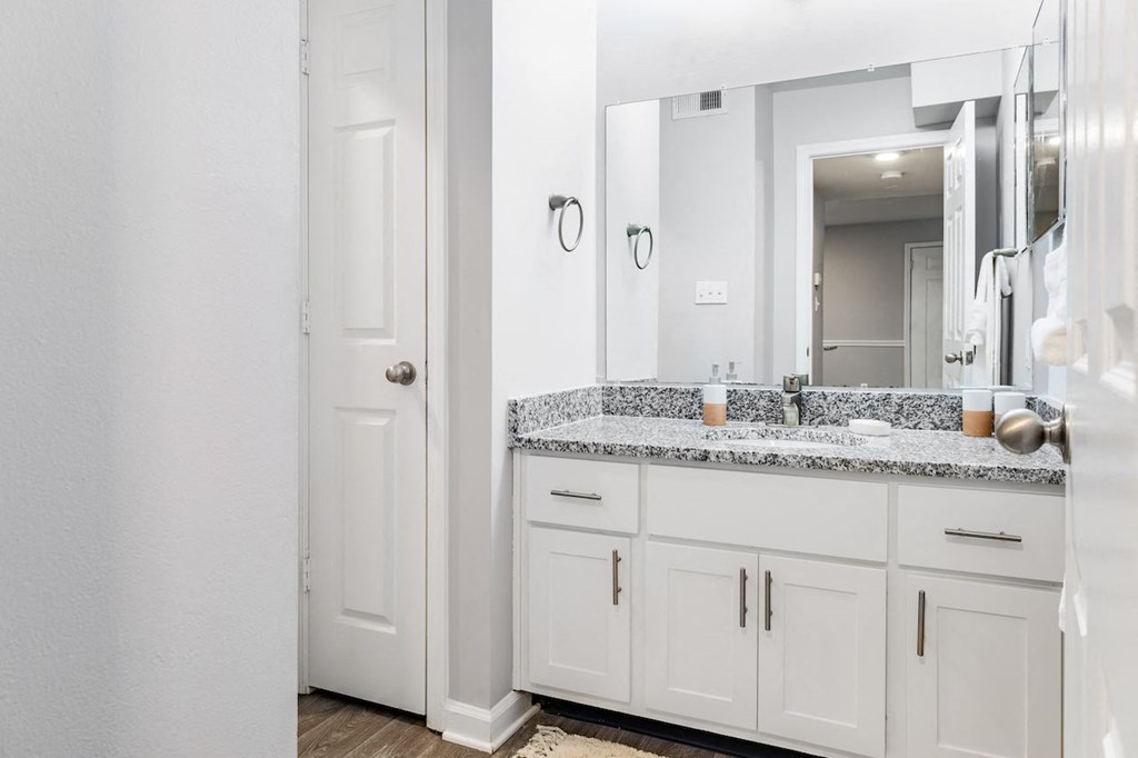 a bathroom with a sink and a mirror