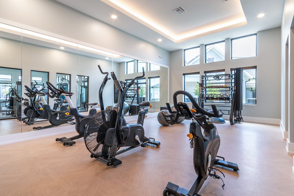 A gym with a row of stationary bikes.