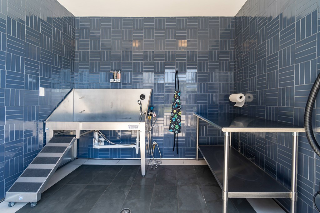 A pet wash station at Evolve Lake Norman apartments in Mooresville, NC