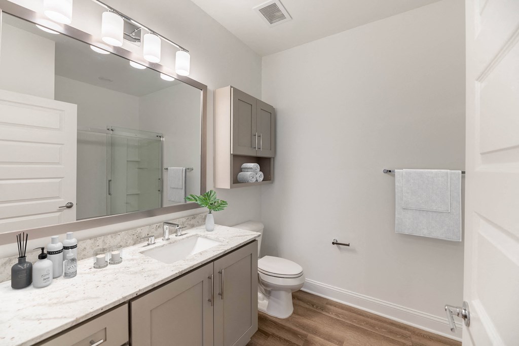 a bathroom with a sink and a toilet and a mirror