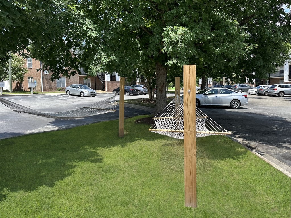 a hammock in the grass near a tree
