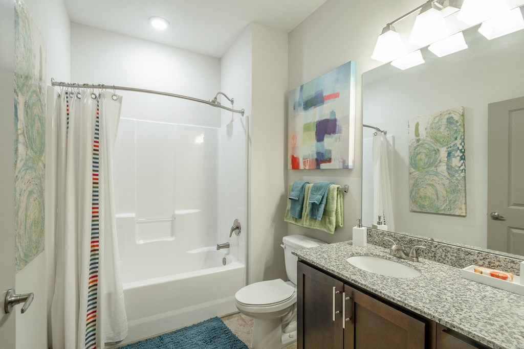 a bathroom with a shower toilet and sink and a mirror