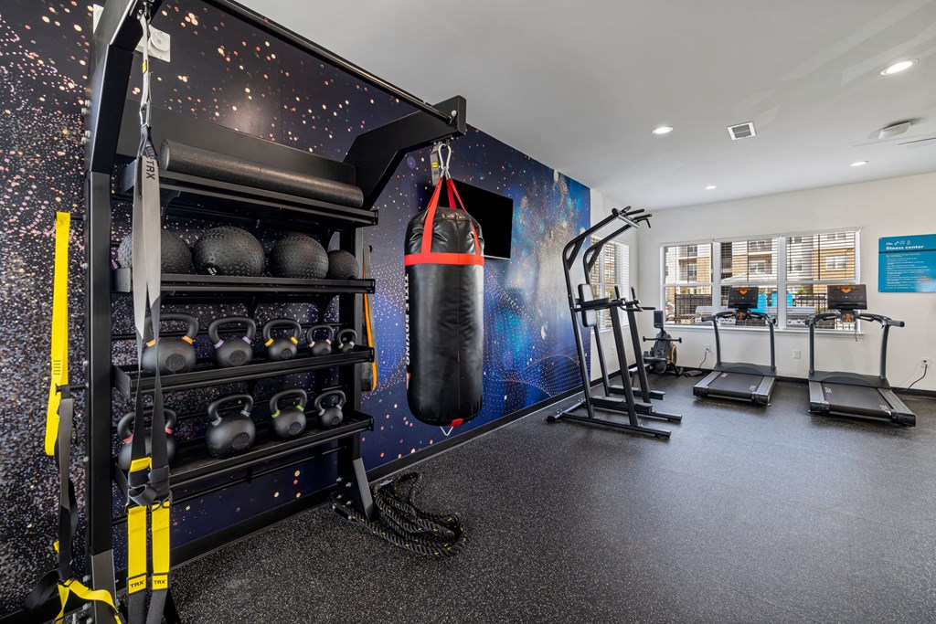 a gym with a punching bag and weights on the wall