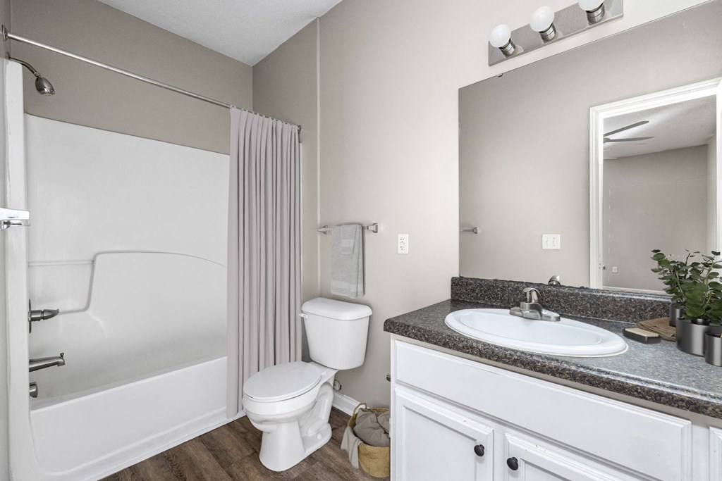 a bathroom with a shower toilet and sink and a mirror