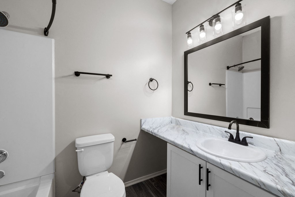 a bathroom with a sink and a toilet and a mirror