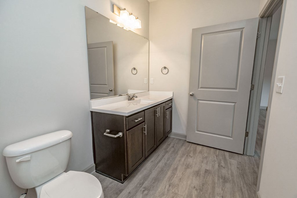 a bathroom with a toilet and a sink and a mirror