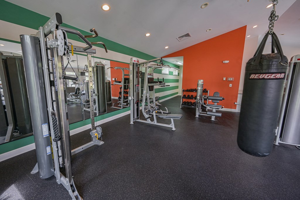 the gym at the flats at big tex apartments