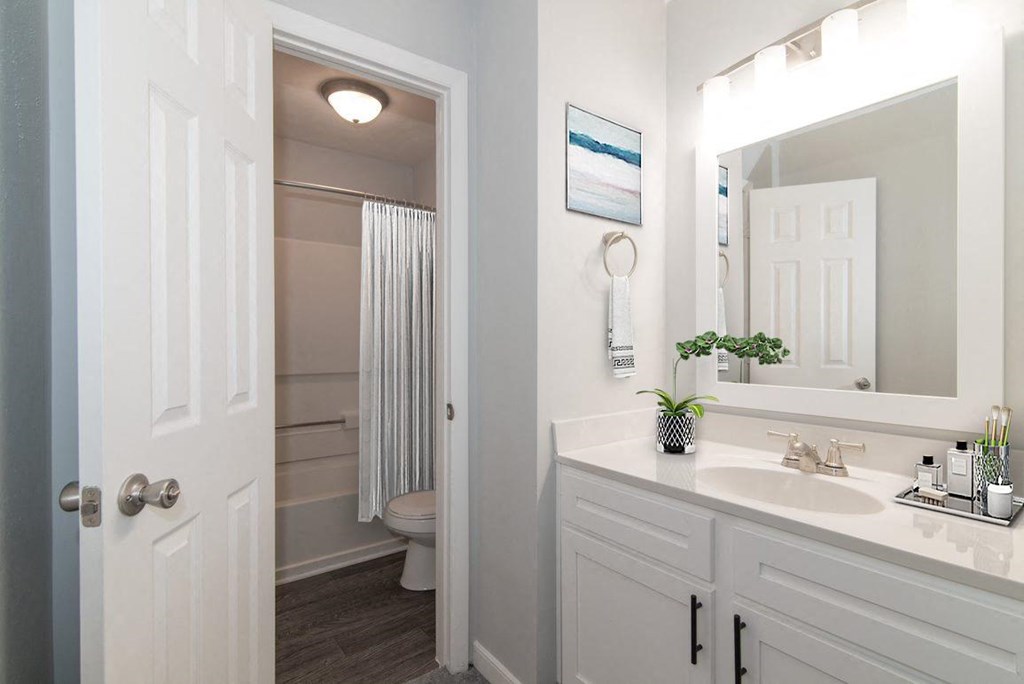 a bathroom with a sink and a mirror and a toilet
