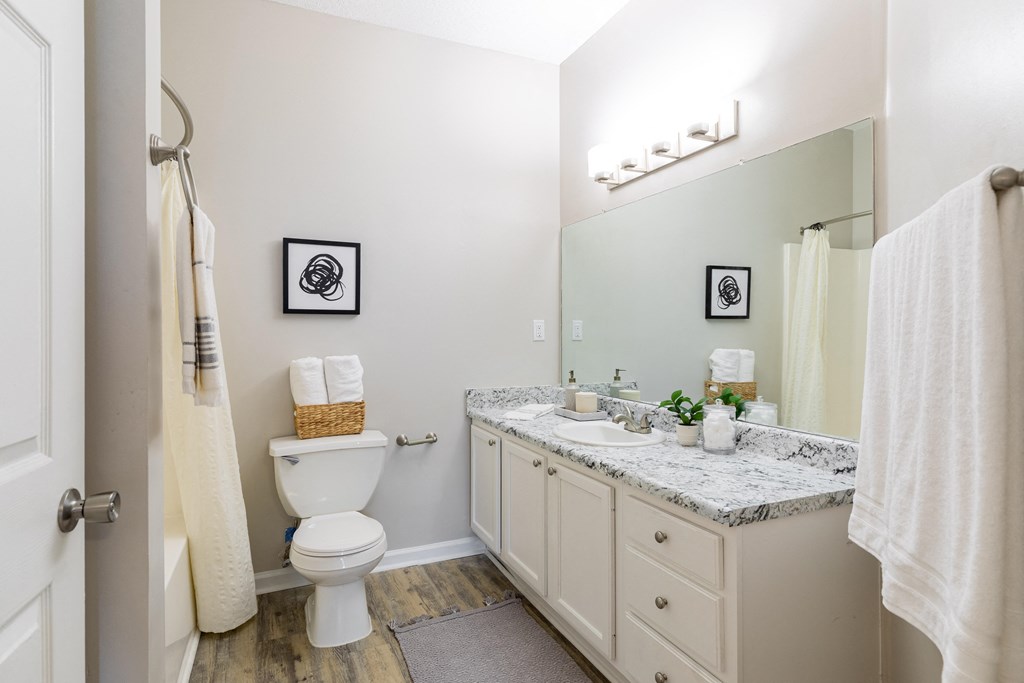 a bathroom with a toilet and a sink and a mirror