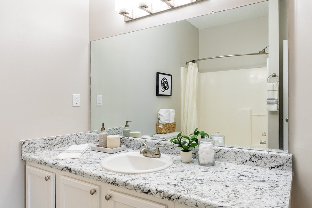 a bathroom with a sink and a mirror and a shower