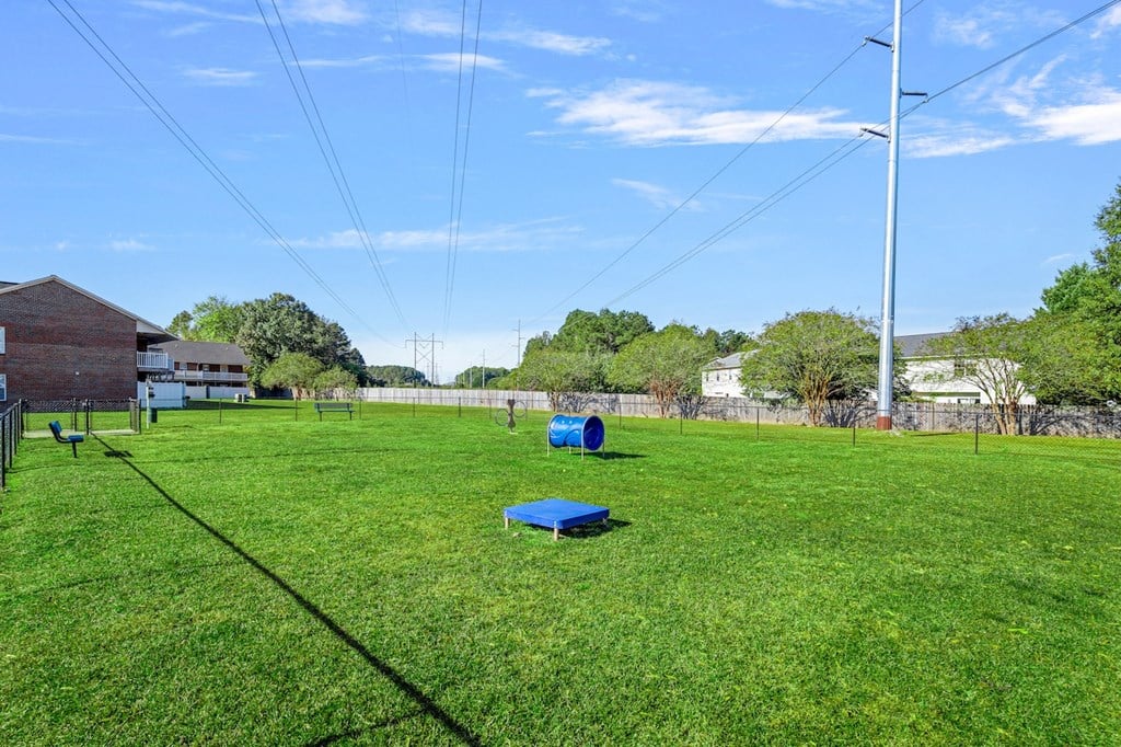 a large grass field with a blue hurdle in the middle