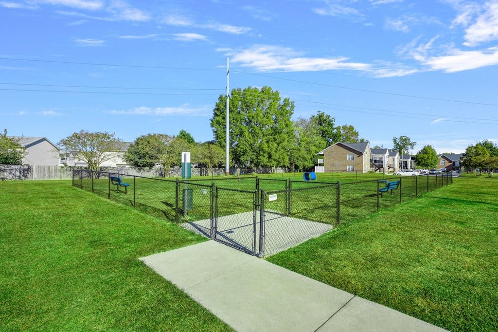 the preserve at ballantyne commons dog park with fence and grass