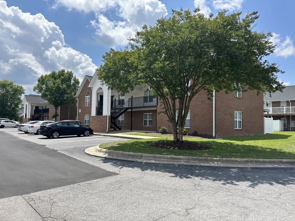 a tree in the middle of a street in front of an apartment building