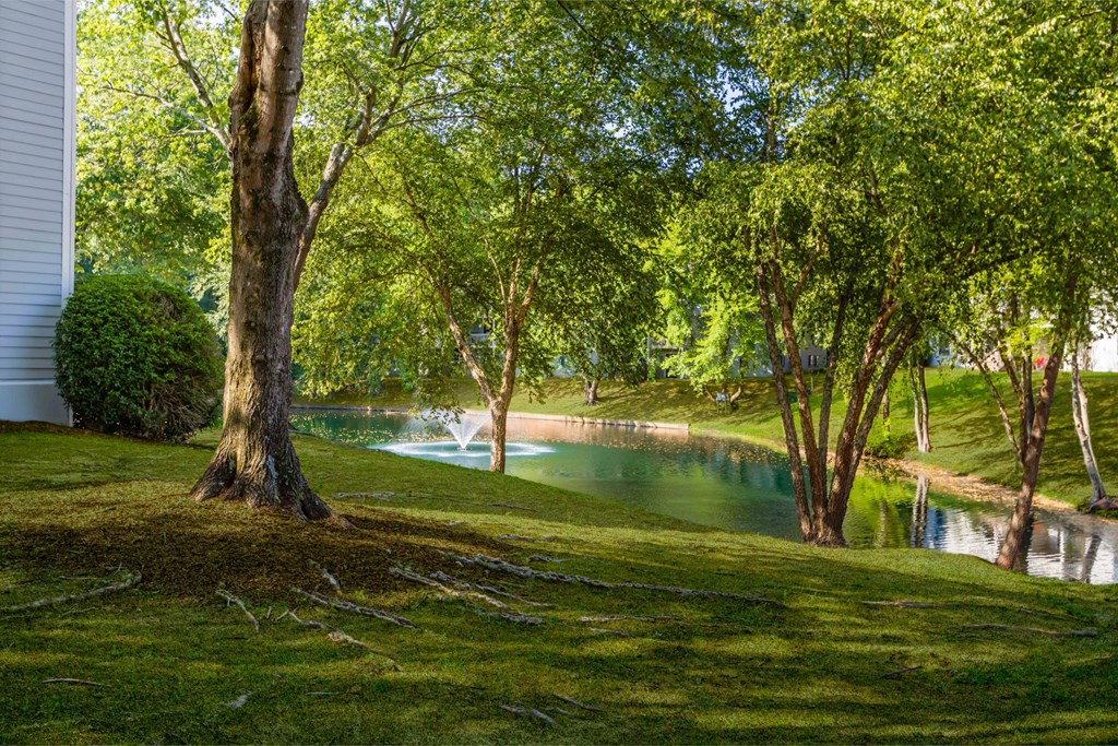 a pool of water surrounded by trees next to a house