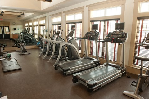 A gym with treadmills and elliptical machines.