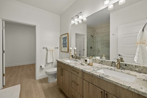 a bathroom with a sink and a toilet and a mirror