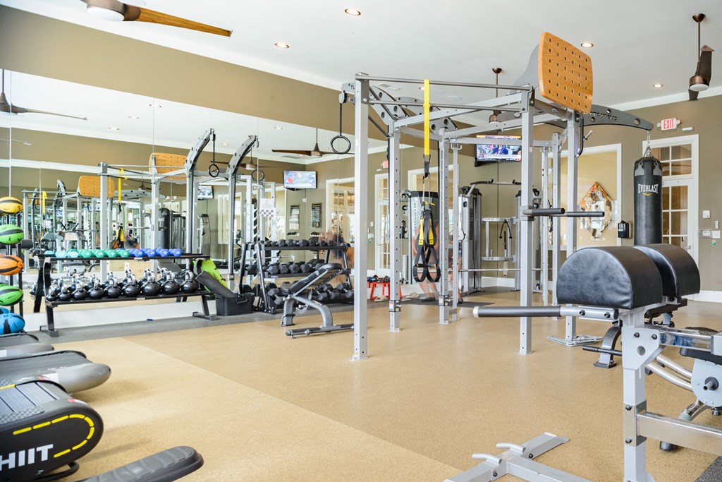 a gym with weights and cardio equipment on the floor and a wall of gym equipment
