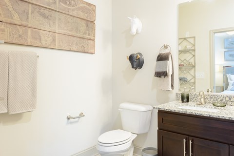 a bathroom with a toilet and a sink and a mirror