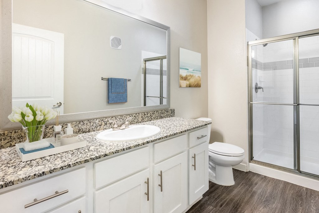 a bathroom with a sink and a shower and a toilet