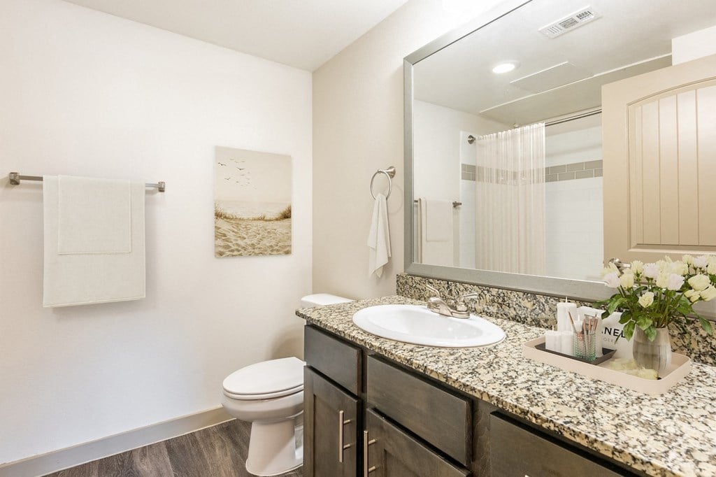 a bathroom with a sink and toilet and a mirror