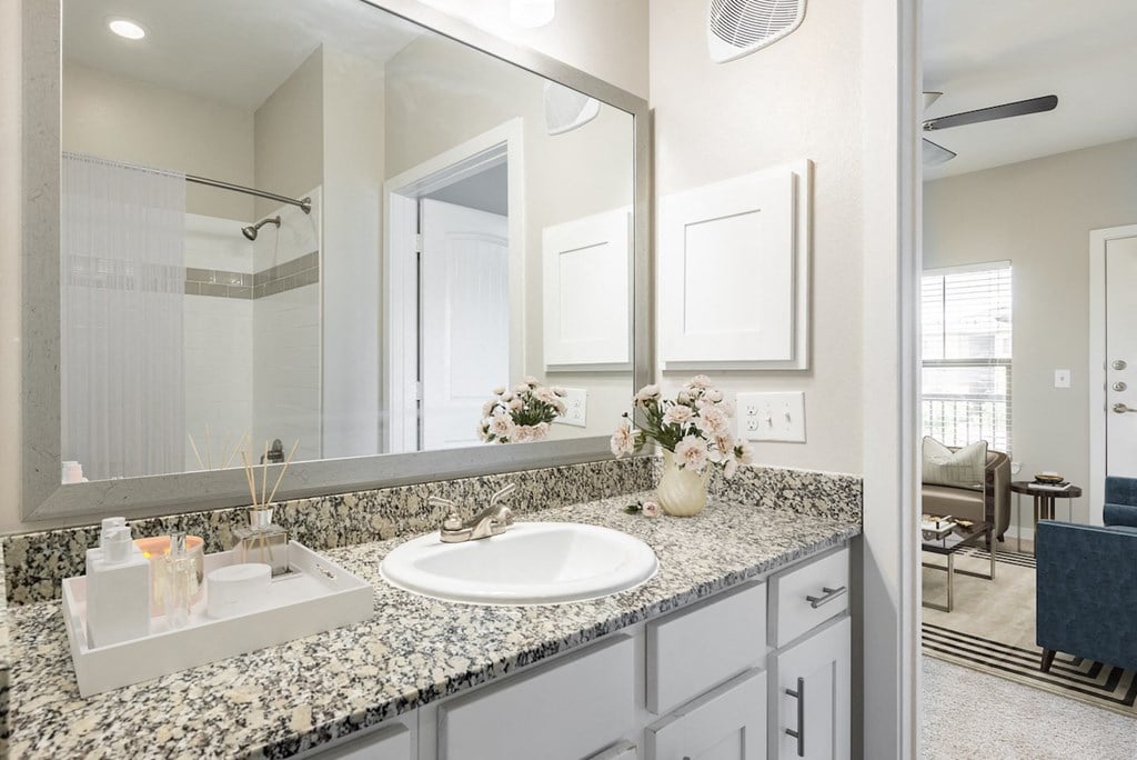 a bathroom with a sink and a mirror