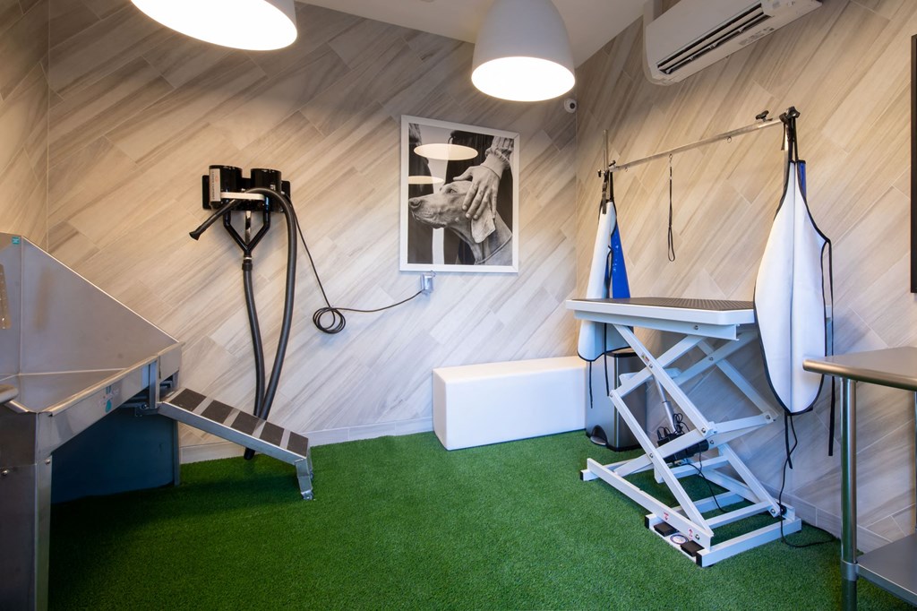 University Hill Apartments