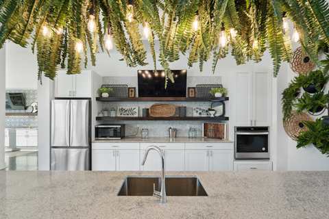 a kitchen with white cabinets and plants hanging above it