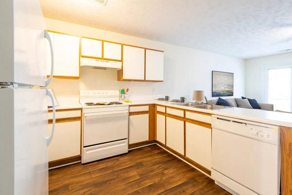a kitchen with a stove refrigerator and a sink
