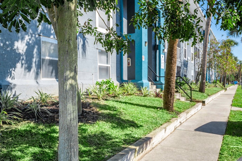 a sidewalk lined with trees in front of a building