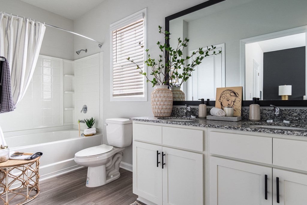 West Park And The Vue*