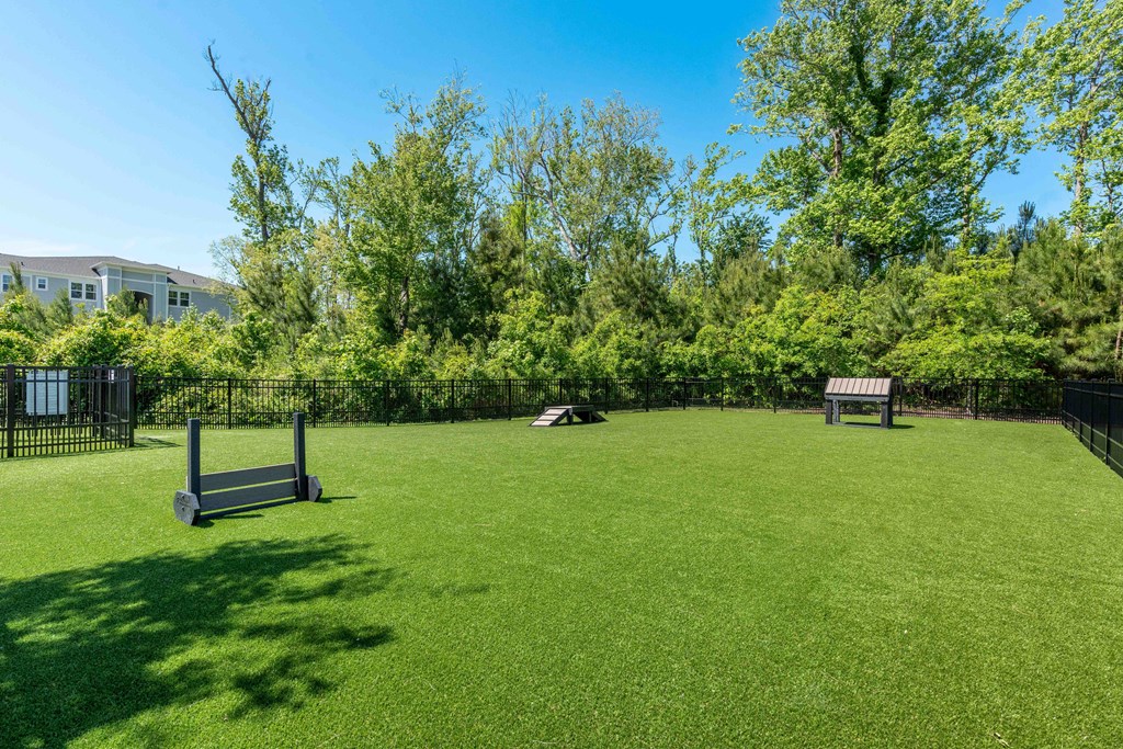 a yard with two benches and a dog laying in the grass