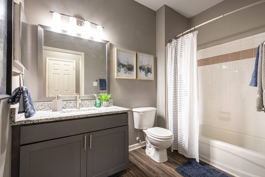Bathroom at 501 Estates apartment homes in Durham, NC