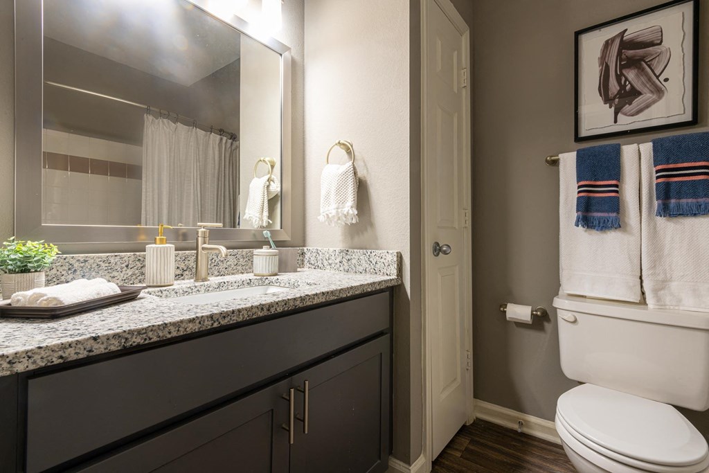 a bathroom with a toilet and a sink and a mirror