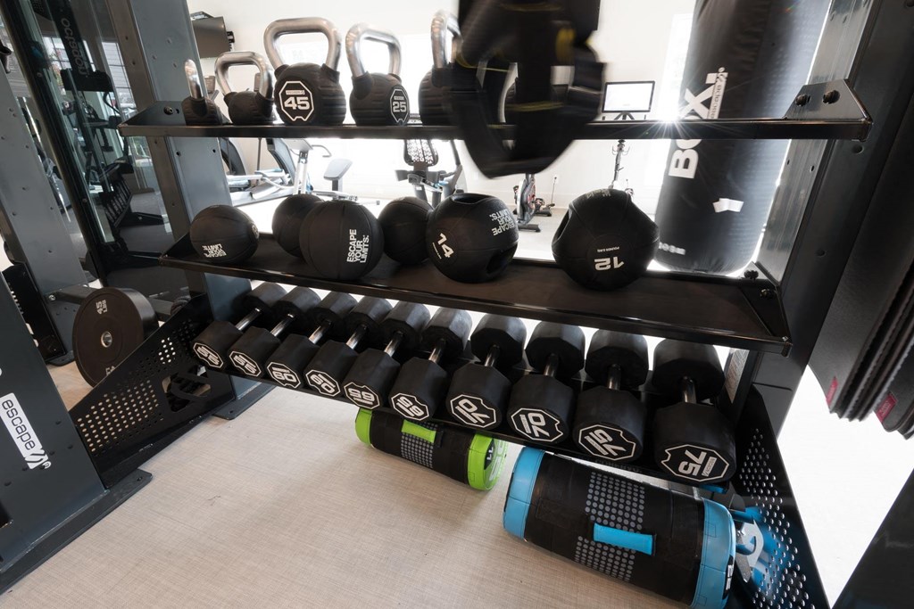 a rack of weights and dumbbells in a gym