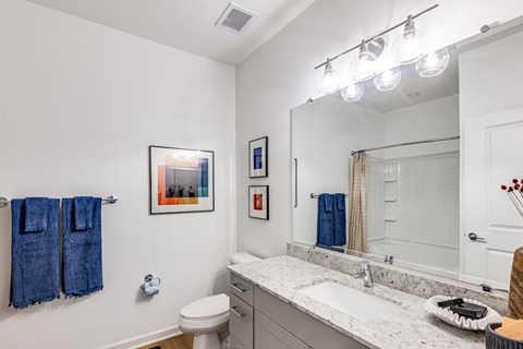 a bathroom with a large mirror and a sink and a toilet